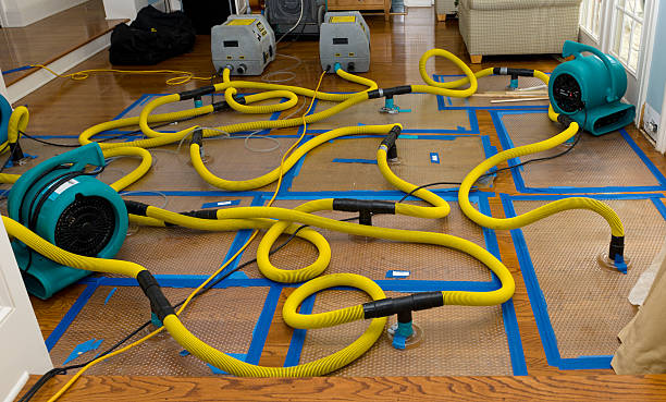 Professional Water Damage Restoration technician working in Lebanon, WI